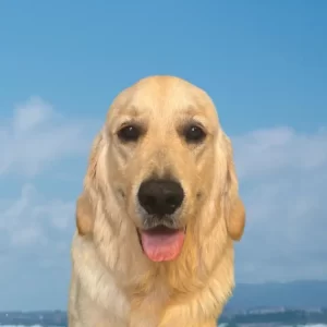 Picture of Floyd